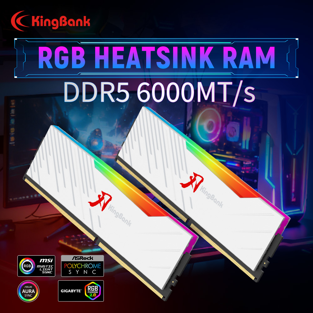 KINGBANK KRRW DDR5 RGB RAM 16G - Ddr5 16Gb 6000Mhz review and price